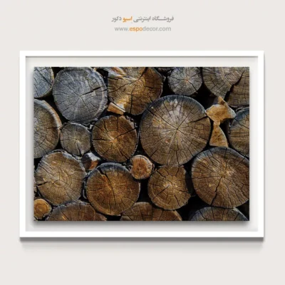 تابلو حلقه درخت - اسپو دکور