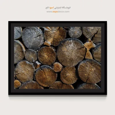 تابلو حلقه درخت - اسپو دکور