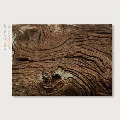 تابلو حلقه درخت - اسپو دکور