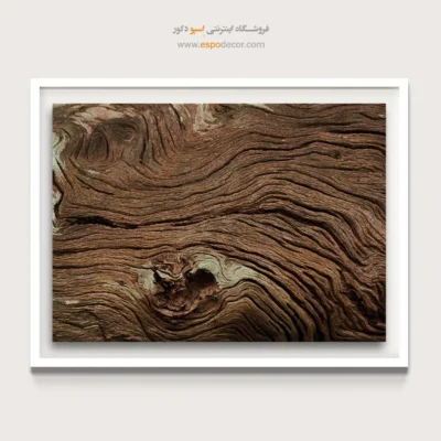 تابلو حلقه درخت - اسپو دکور