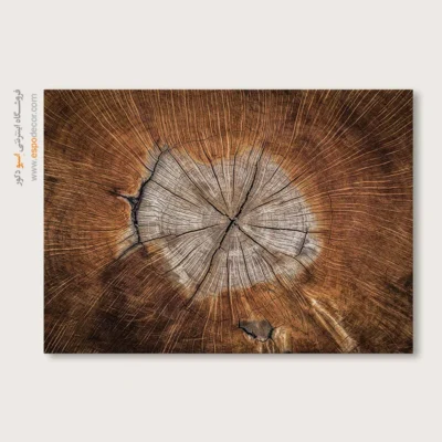 تابلو حلقه درخت - اسپو دکور