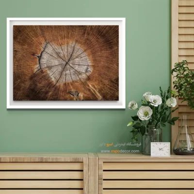 تابلو حلقه درخت - اسپو دکور