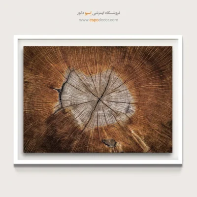 تابلو حلقه درخت - اسپو دکور