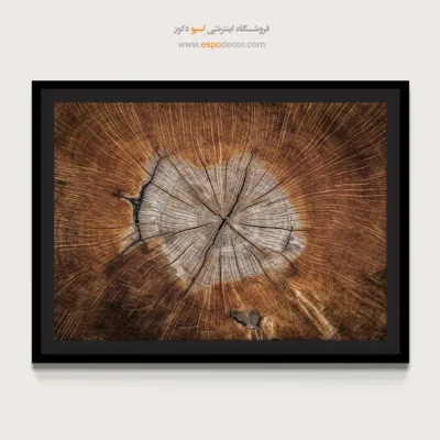 تابلو حلقه درخت - اسپو دکور