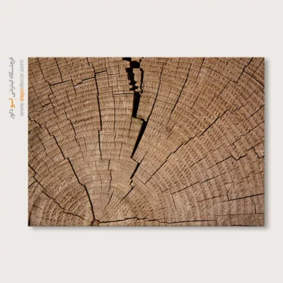 تابلو حلقه درخت - اسپو دکور