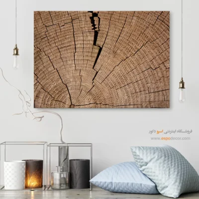 تابلو حلقه درخت - اسپو دکور