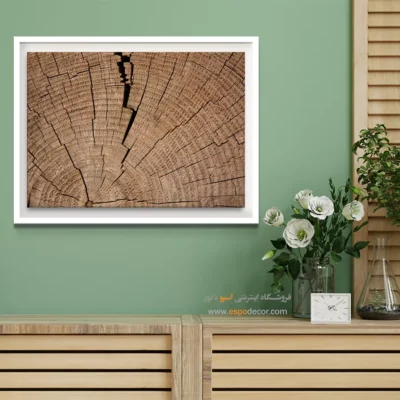 تابلو حلقه درخت - اسپو دکور