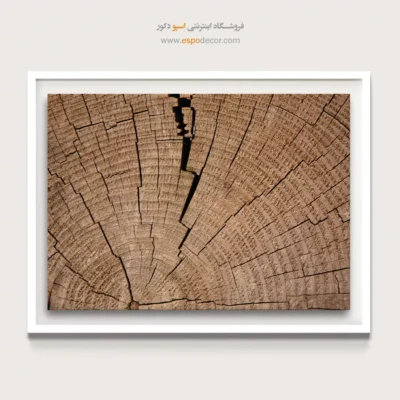 تابلو حلقه درخت - اسپو دکور