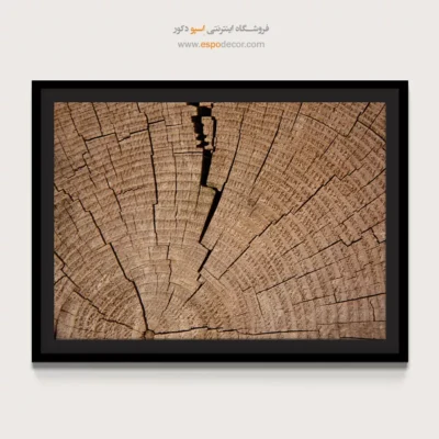 تابلو حلقه درخت - اسپو دکور