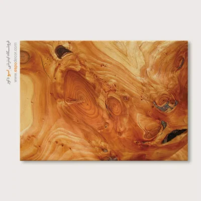 تابلو حلقه درخت - اسپو دکور