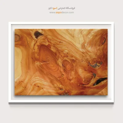 تابلو حلقه درخت - اسپو دکور