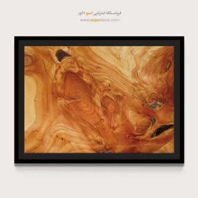 تابلو حلقه درخت - اسپو دکور