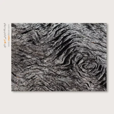 تابلو حلقه درخت - اسپو دکور