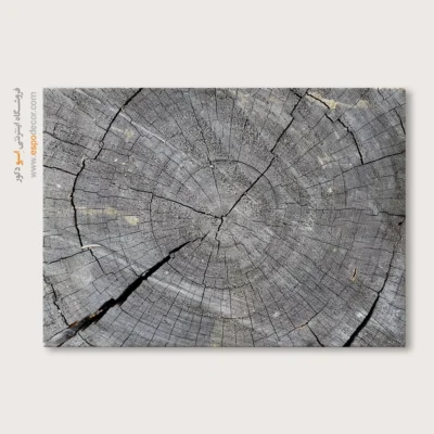 تابلو حلقه درخت - اسپو دکور