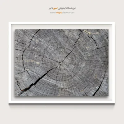 تابلو حلقه درخت - اسپو دکور