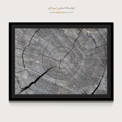 تابلو حلقه درخت - اسپو دکور
