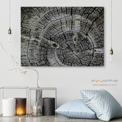 تابلو حلقه درخت - اسپو دکور