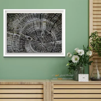 تابلو حلقه درخت - اسپو دکور