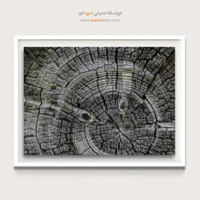 تابلو حلقه درخت - اسپو دکور
