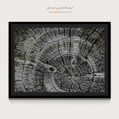 تابلو حلقه درخت - اسپو دکور