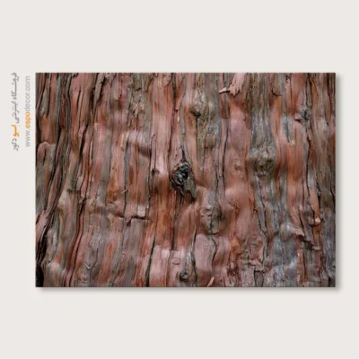 تابلو حلقه درخت - اسپو دکور