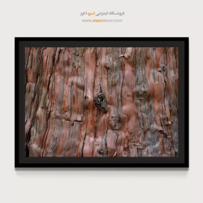 تابلو حلقه درخت - اسپو دکور