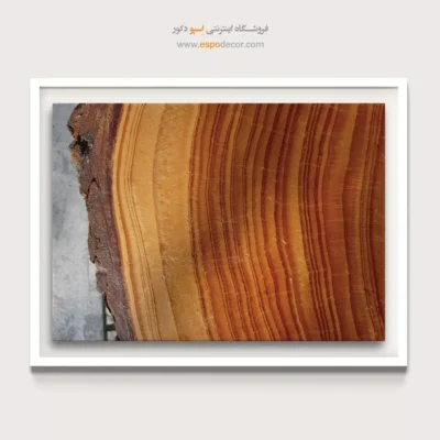 تابلو حلقه درخت - اسپو دکور
