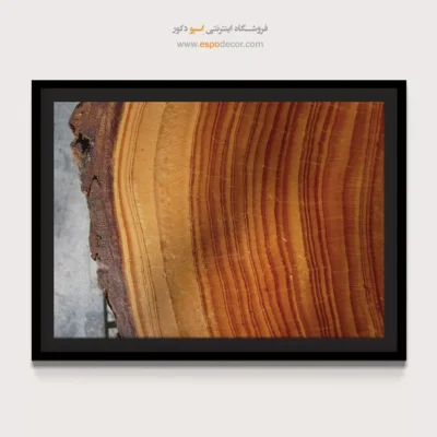 تابلو حلقه درخت - اسپو دکور