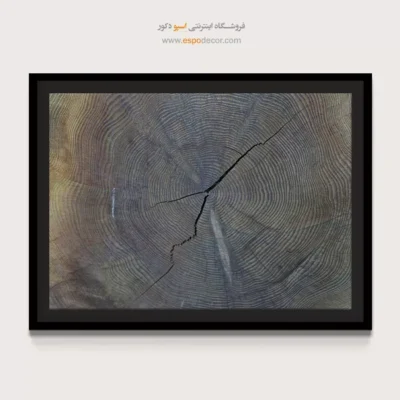 تابلو حلقه درخت - اسپو دکور