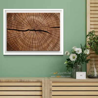 تابلو حلقه درخت - اسپو دکور
