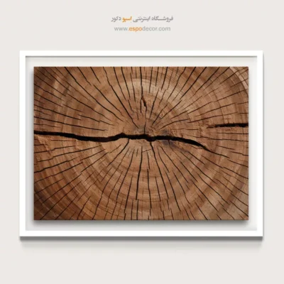 تابلو حلقه درخت - اسپو دکور