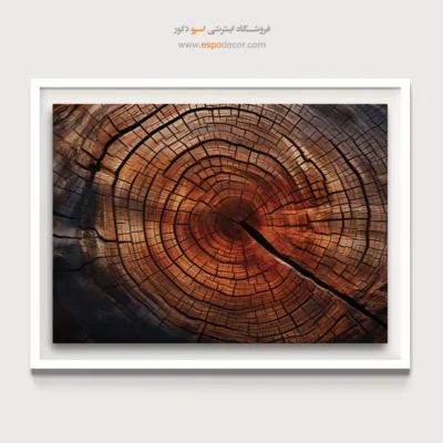 تابلو حلقه درخت - اسپو دکور