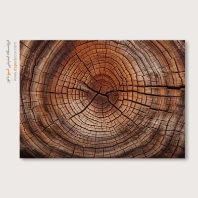 تابلو حلقه درخت - اسپو دکور