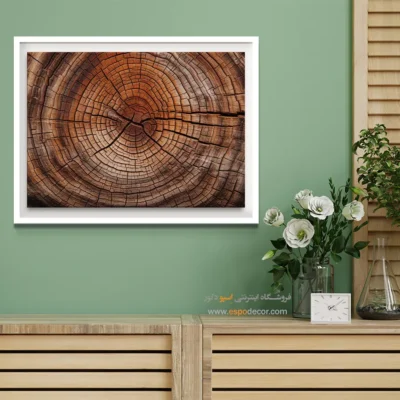 تابلو حلقه درخت - اسپو دکور