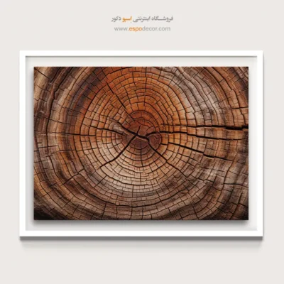 تابلو حلقه درخت - اسپو دکور