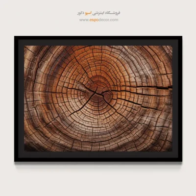تابلو حلقه درخت - اسپو دکور