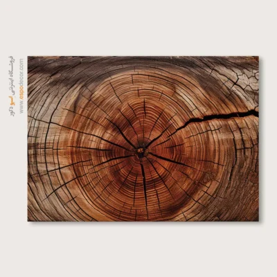 تابلو حلقه درخت - اسپو دکور