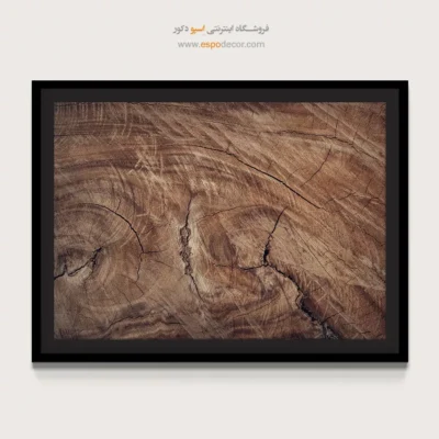 تابلو حلقه درخت - اسپو دکور