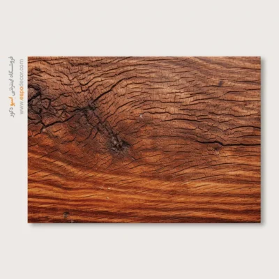 تابلو حلقه درخت - اسپو دکور