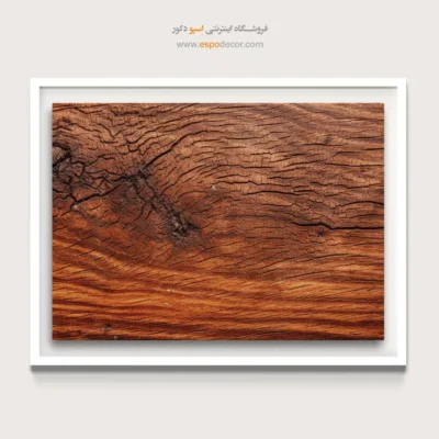 تابلو حلقه درخت - اسپو دکور