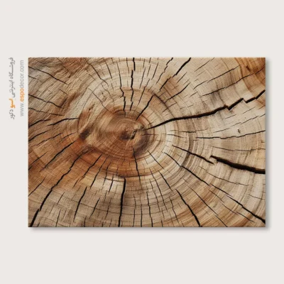 تابلو حلقه درخت - اسپو دکور