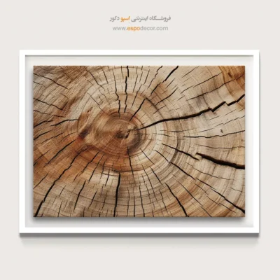 تابلو حلقه درخت - اسپو دکور