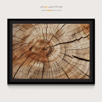 تابلو حلقه درخت - اسپو دکور