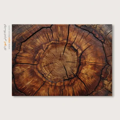 تابلو حلقه درخت - اسپو دکور