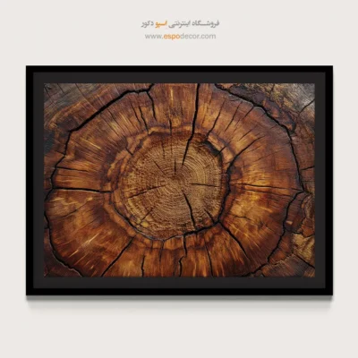 تابلو حلقه درخت - اسپو دکور
