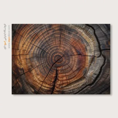 تابلو حلقه درخت - اسپو دکور