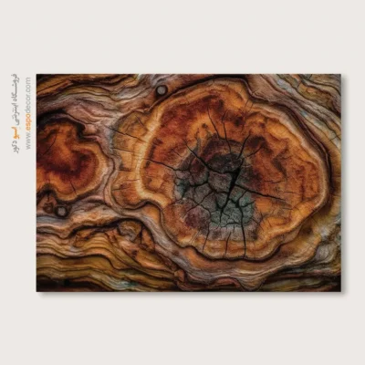 تابلو حلقه درخت - اسپو دکور