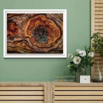 تابلو حلقه درخت - اسپو دکور