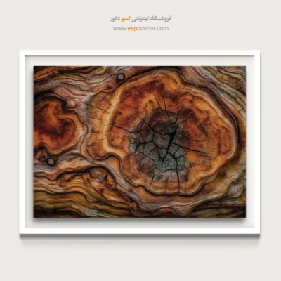 تابلو حلقه درخت - اسپو دکور