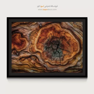 تابلو حلقه درخت - اسپو دکور